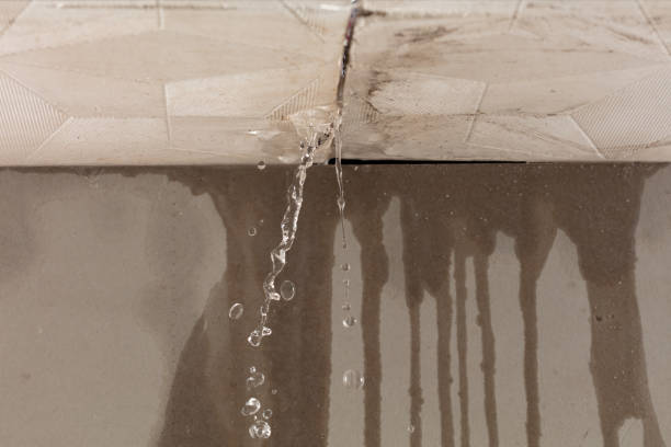 Professional Water Damage Repair technician working in Luck, WI